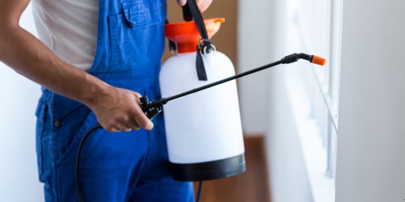 Como Fazer Dedetização em Casa em São José do Rio Preto: 4 Dicas Simples Como fazer dedetização em casa em São José do Rio Preto