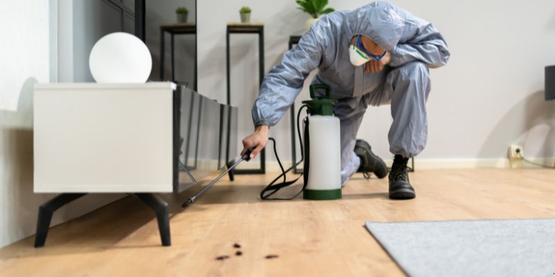 Quanto Tempo Dura Uma Dedetização em São José do Rio Preto? Confira! Quanto tempo dura uma dedetização em São José do Rio Preto?